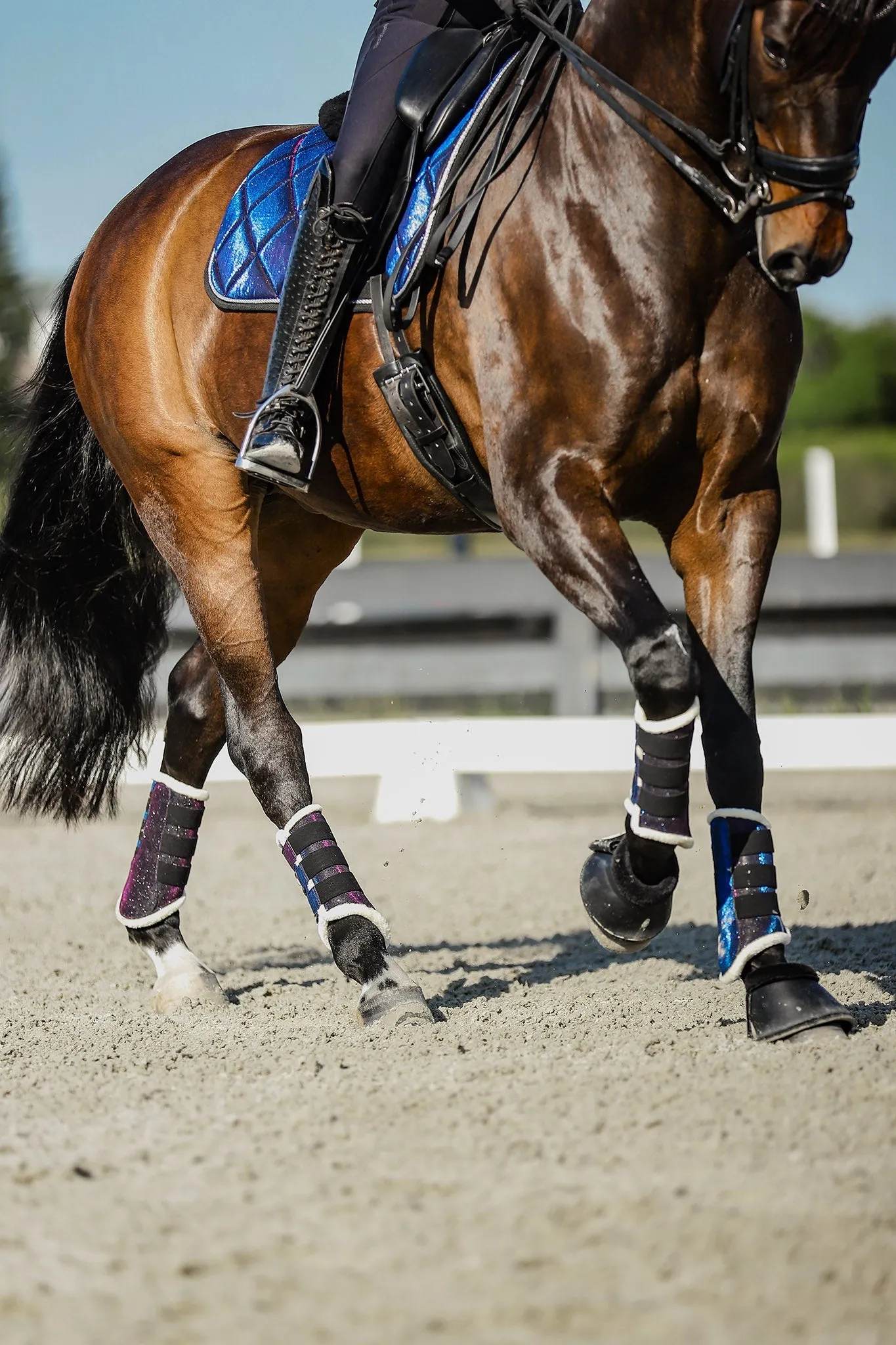 Equestroom Ultraviolet Brushing Boots