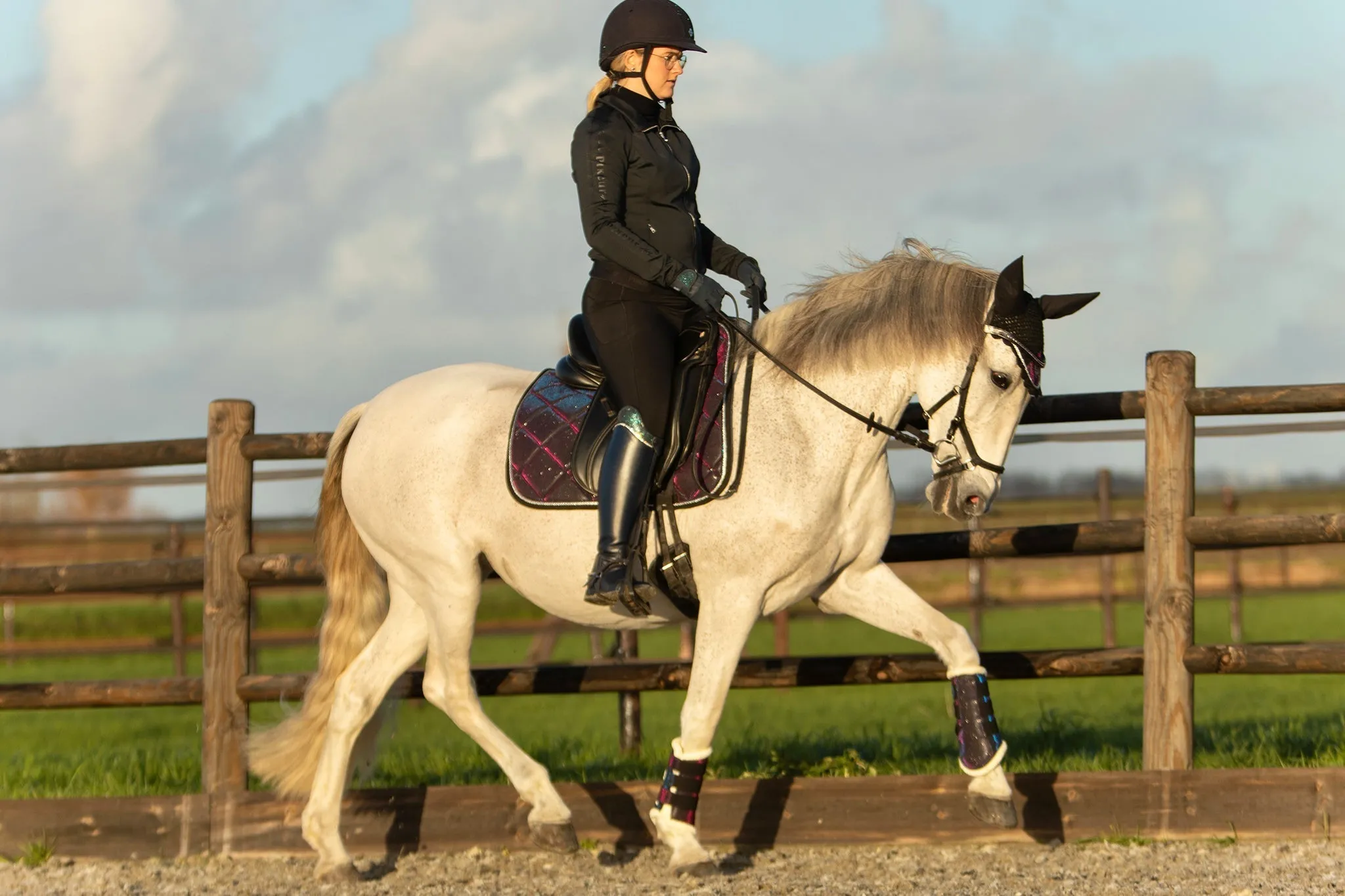 Equestroom Ultraviolet Brushing Boots