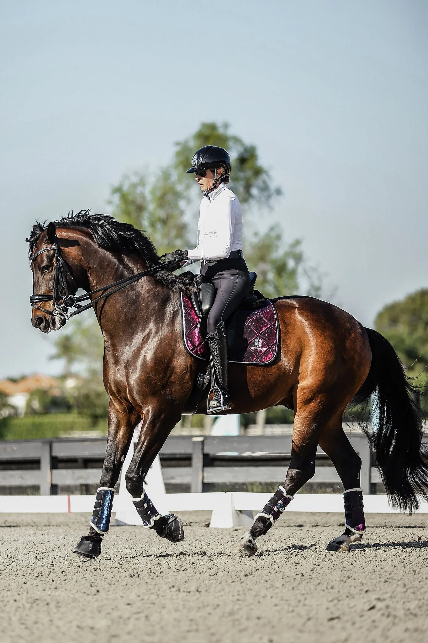Equestroom Ultraviolet Brushing Boots