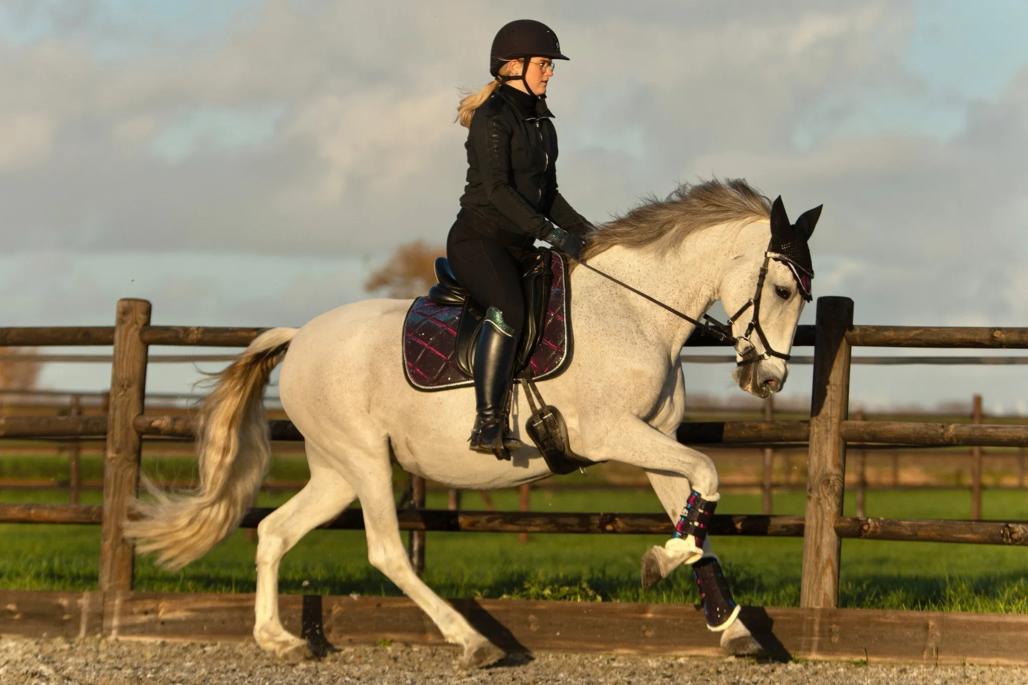 Equestroom Ultraviolet Brushing Boots